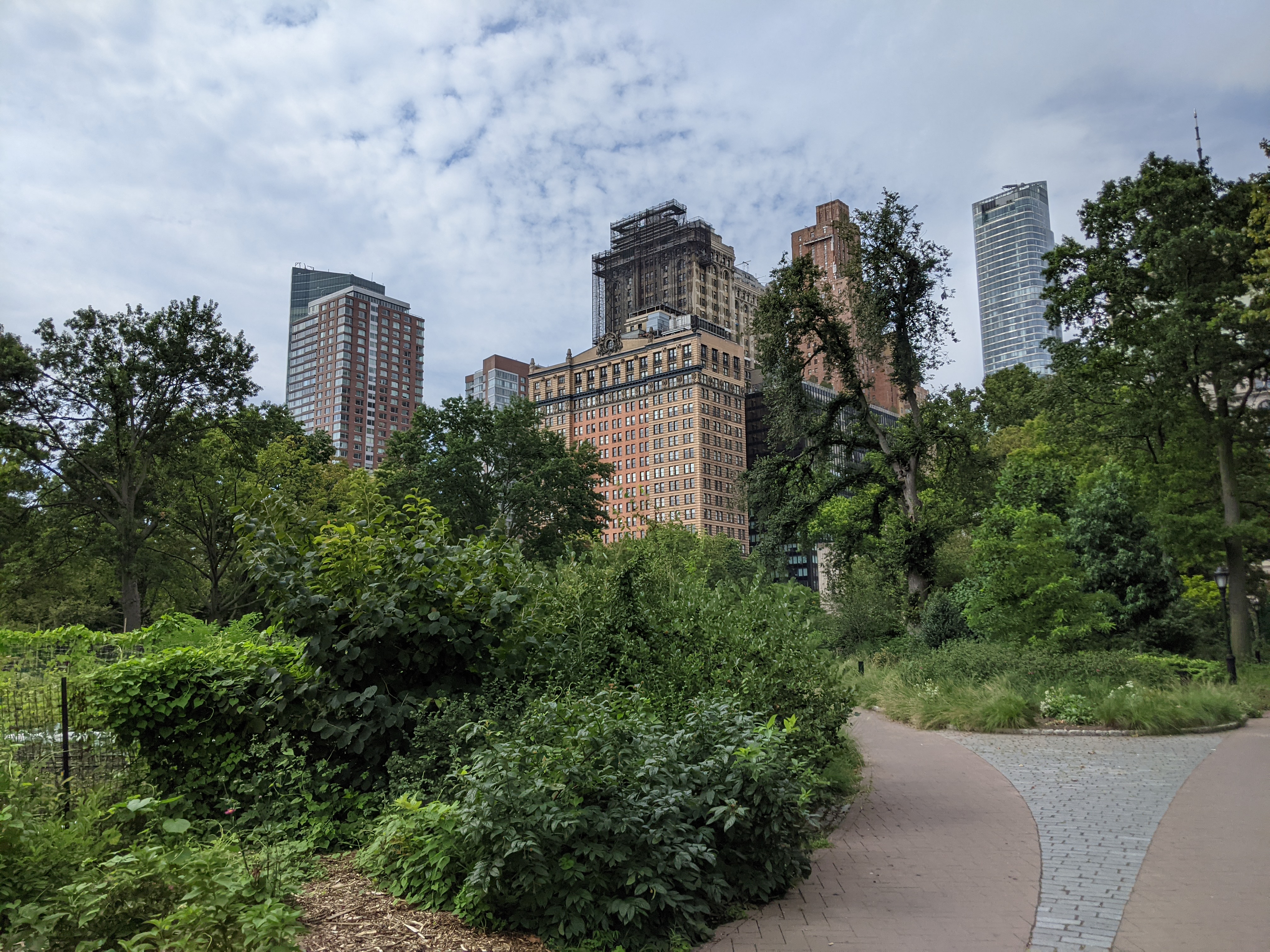 Landscape Photo