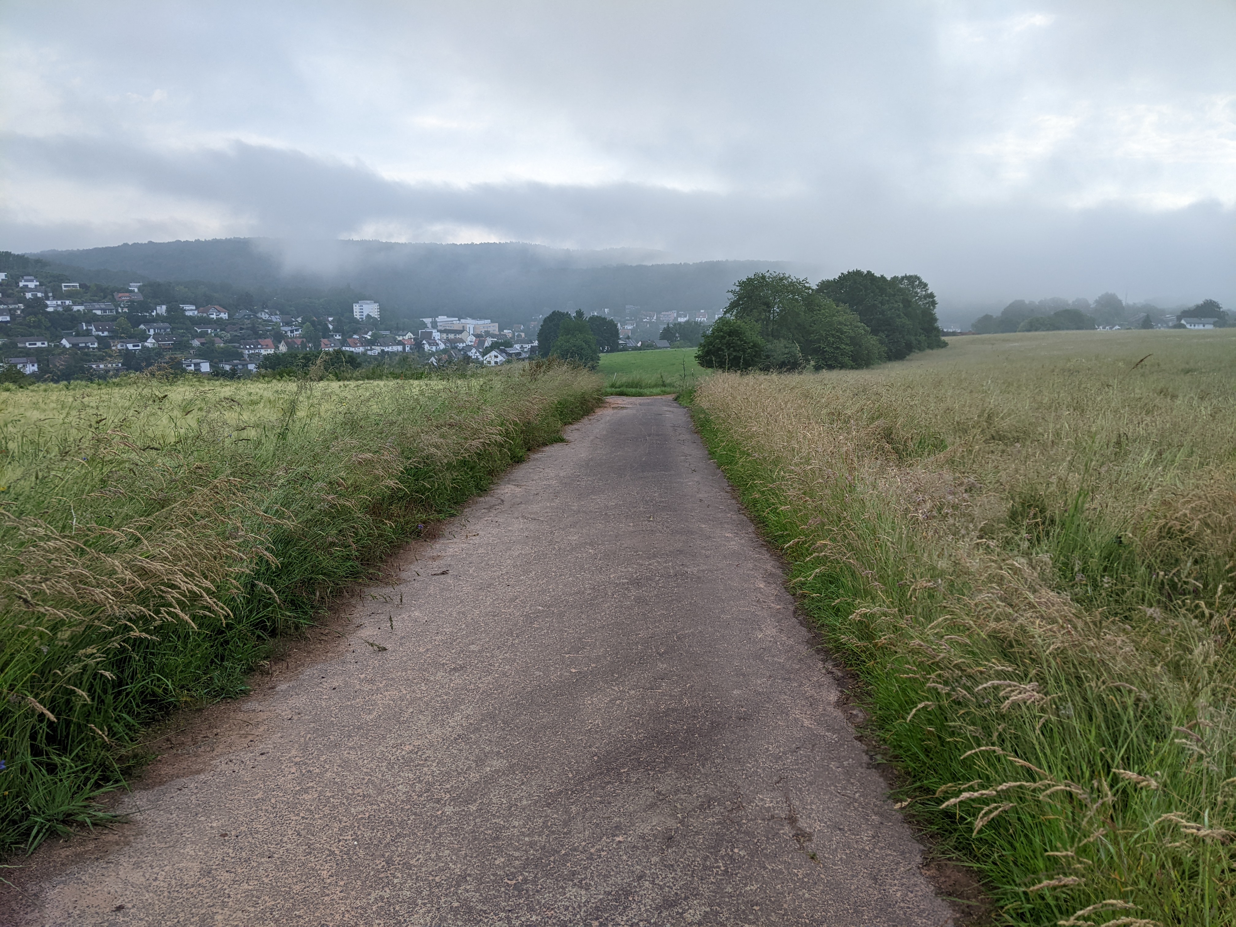 Landscape Photo